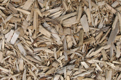 biomass boilers Rhyd Y Brown